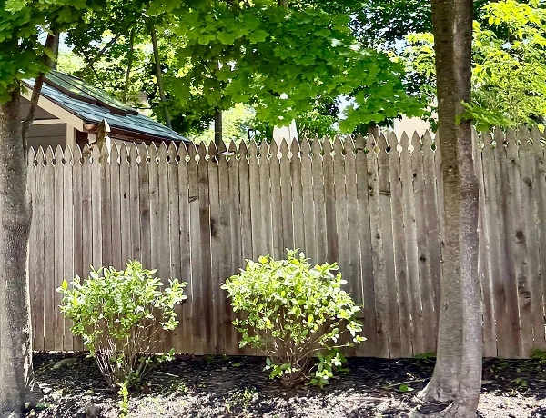Timber fence enclosing a garden with established shrubs